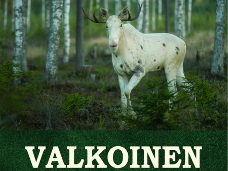 Valkoinen hirvi For Sale